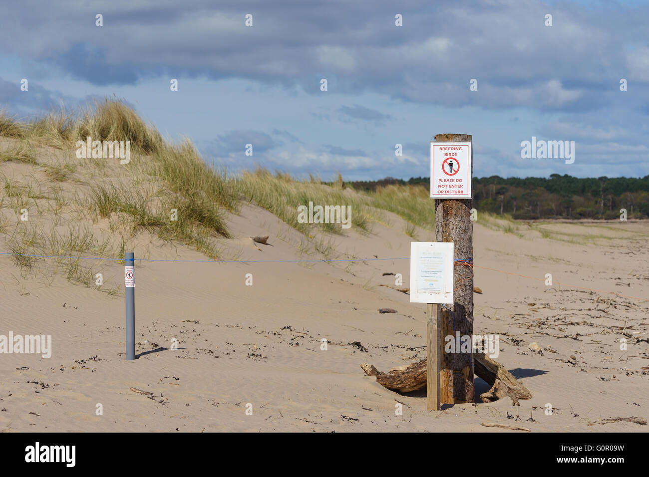 Signs marking the tern (bird) nesting area on the beach at John Muir Country Park, in Scotland. Stock Photo