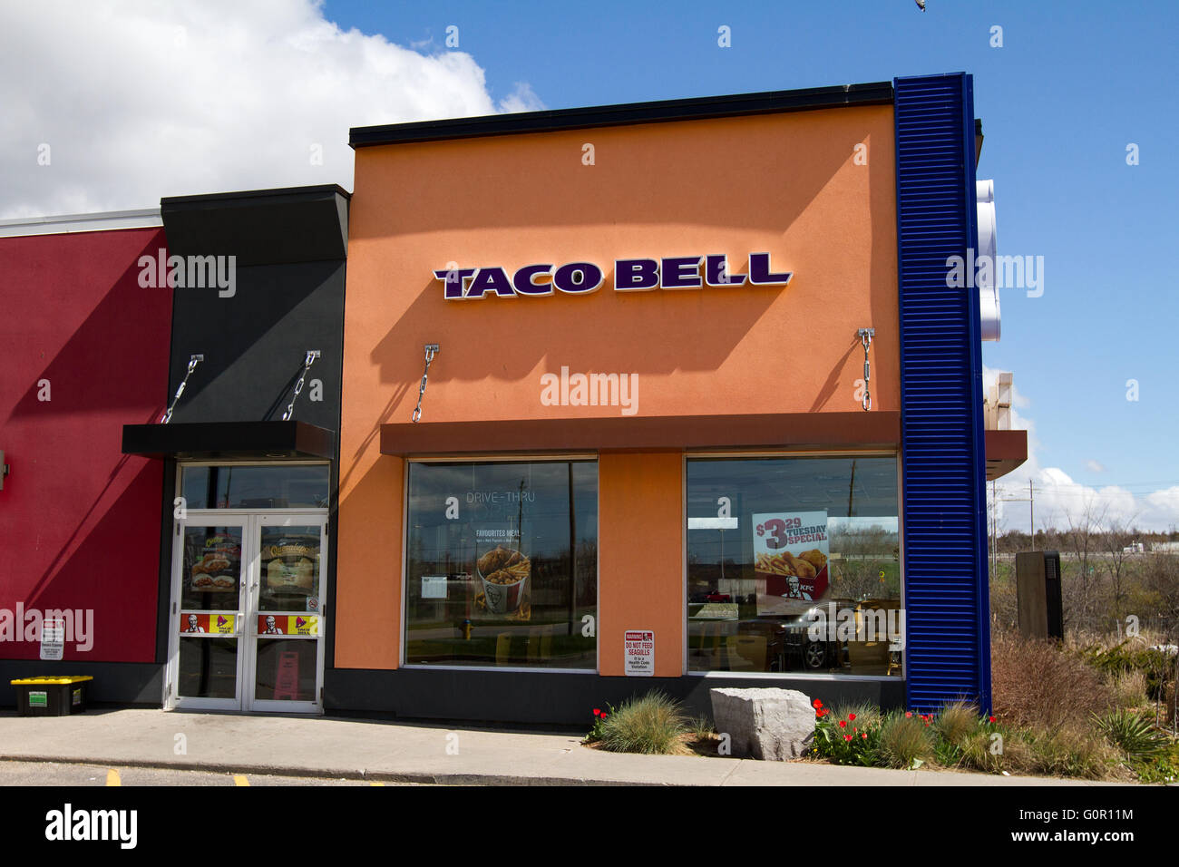 Taco Bell fast food restaurant in Kingston, Ont., on May 3, 2016 Stock