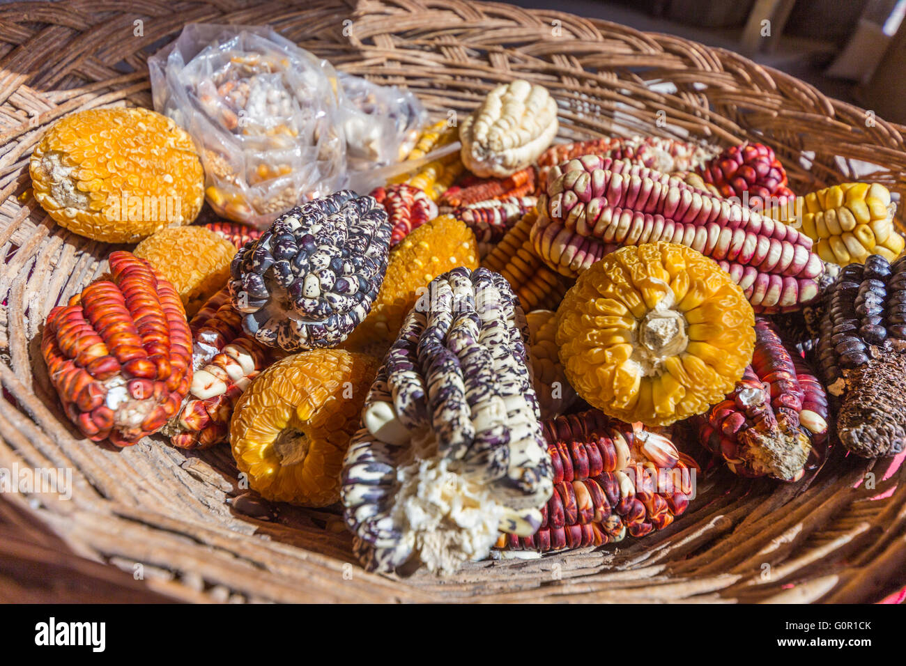 Different maize and corn types in the basket Stock Photo Alamy