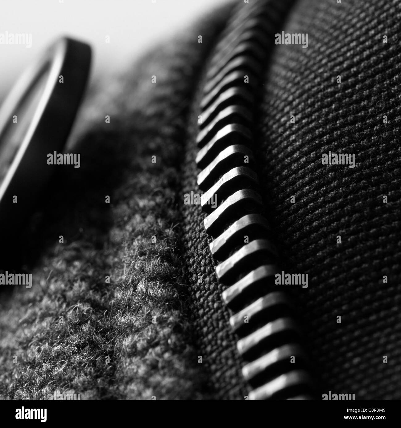 Jacket with zipper detail, fashion industry concepts Stock Photo Alamy
