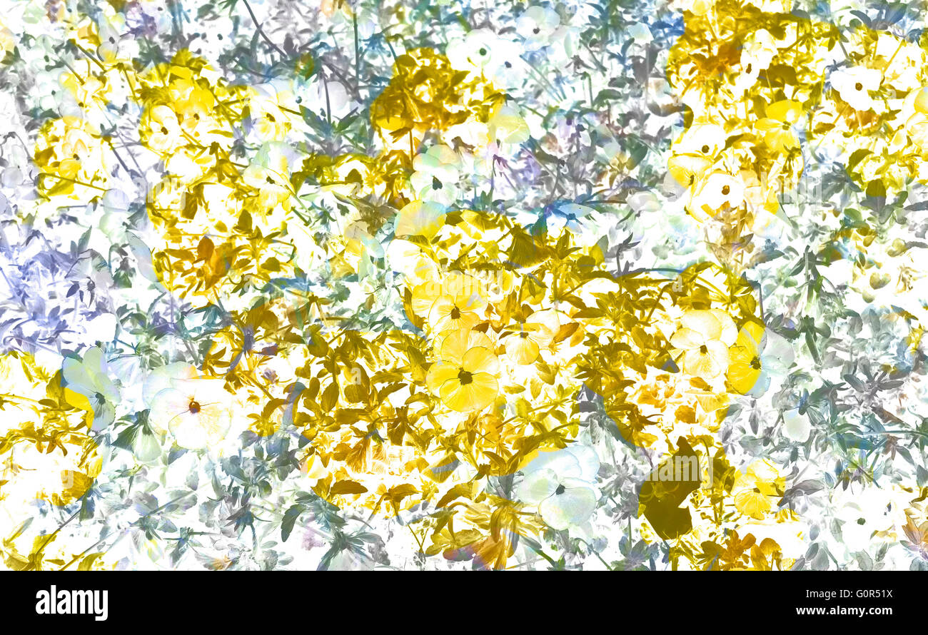 Modern Graphic Digital Floral Art Design Stock Photo Alamy