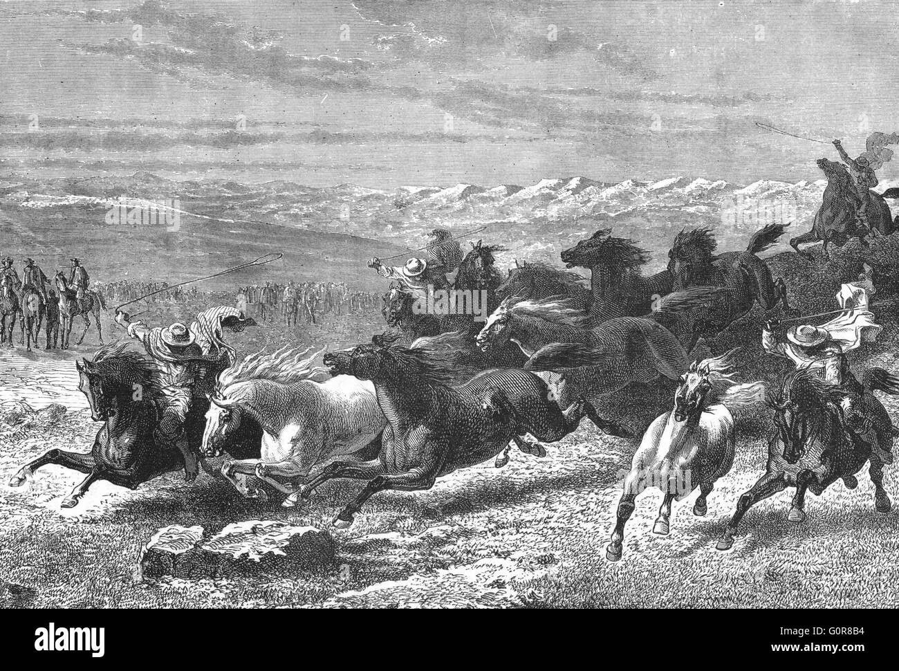 USA: Catching horses, Prairies Lasso, antique print c1880 Stock Photo