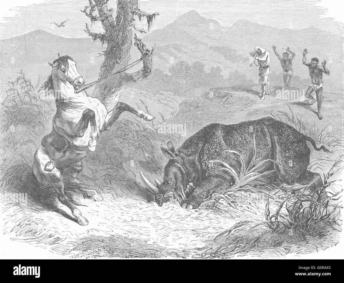 S AFRICA: Trekking hunt: favourite danger, antique print 1880 Stock Photo