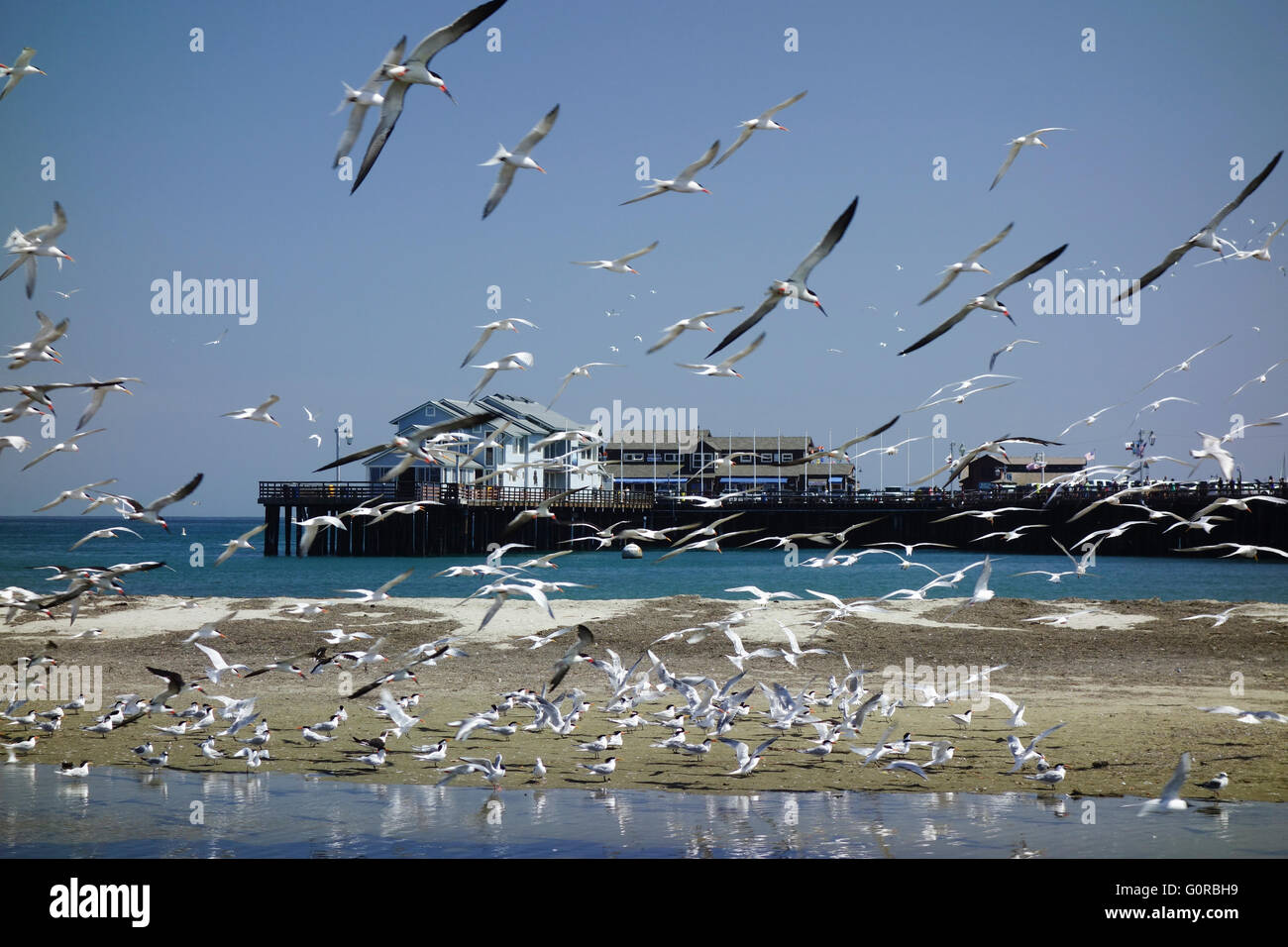 Flight Wharf High Resolution Stock Photography and Images Alamy