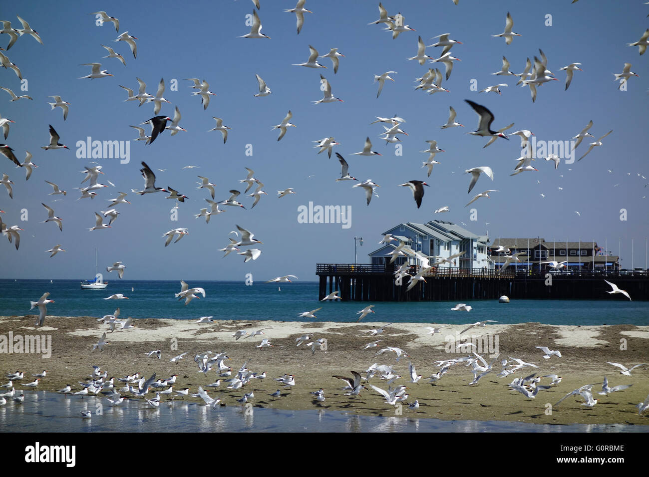 Flight Wharf High Resolution Stock Photography and Images Alamy