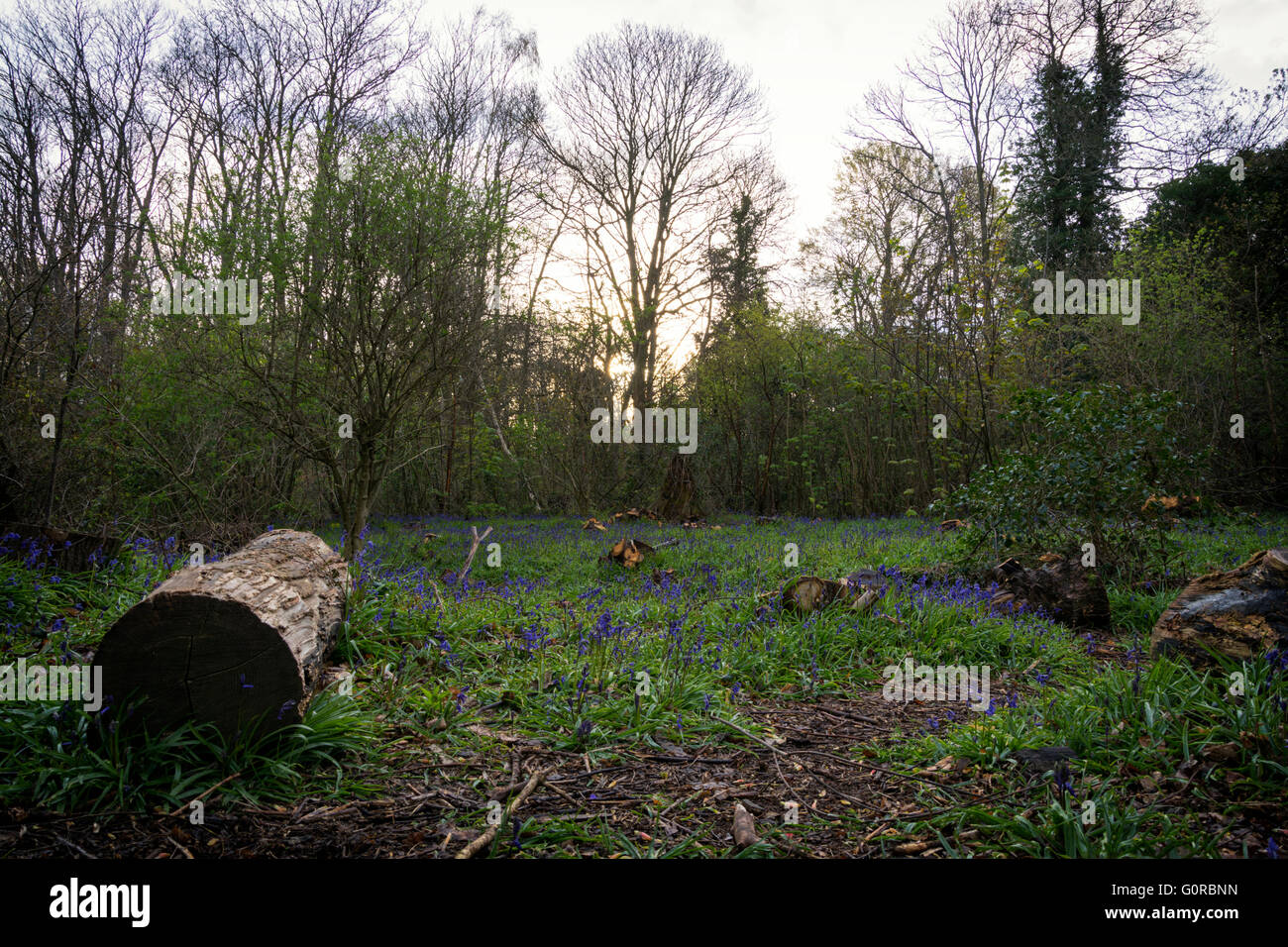Eastham Country Park is situated on the Wirral bank of the River Mersey