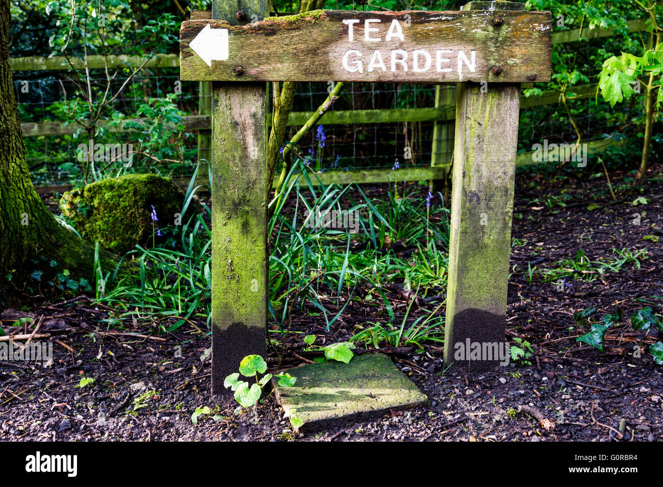 Eastham Country Park is situated on the Wirral bank of the River Mersey