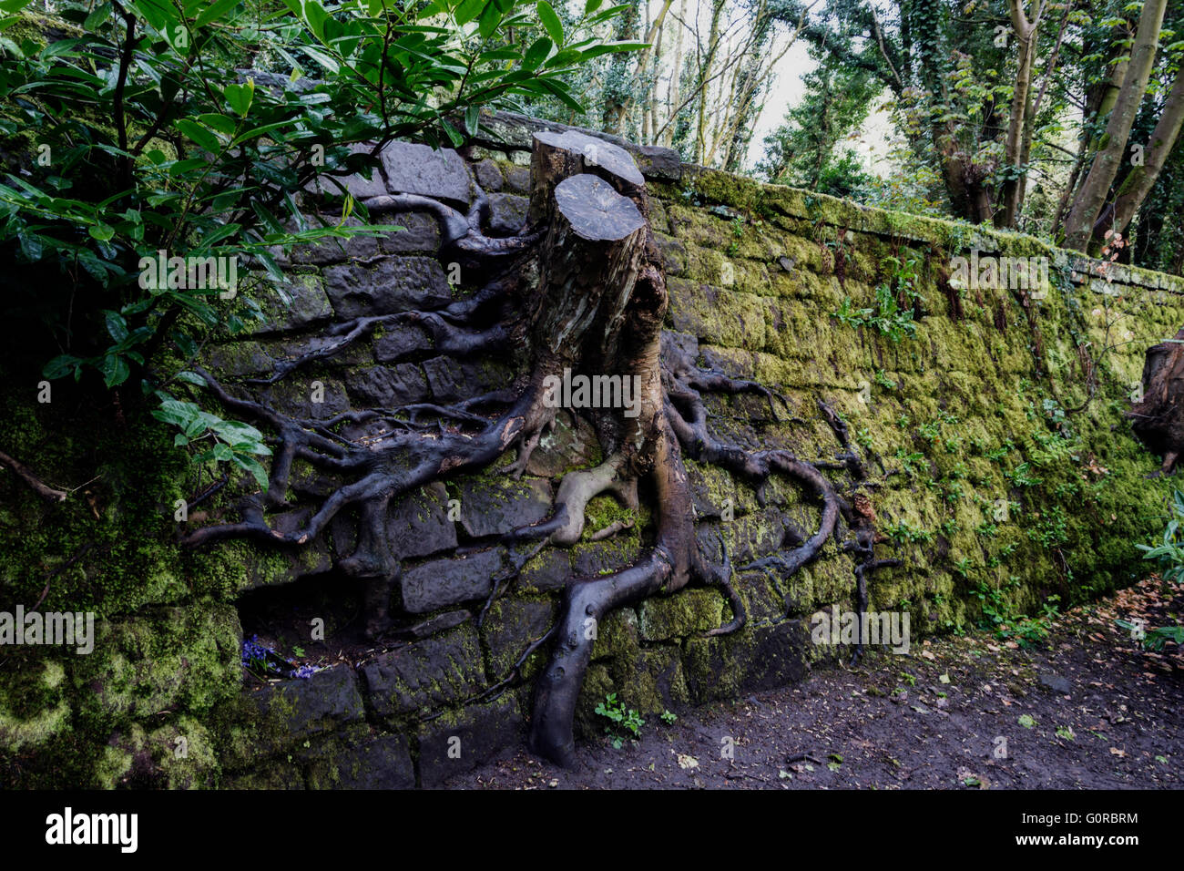 Eastham Country Park is situated on the Wirral bank of the River Mersey