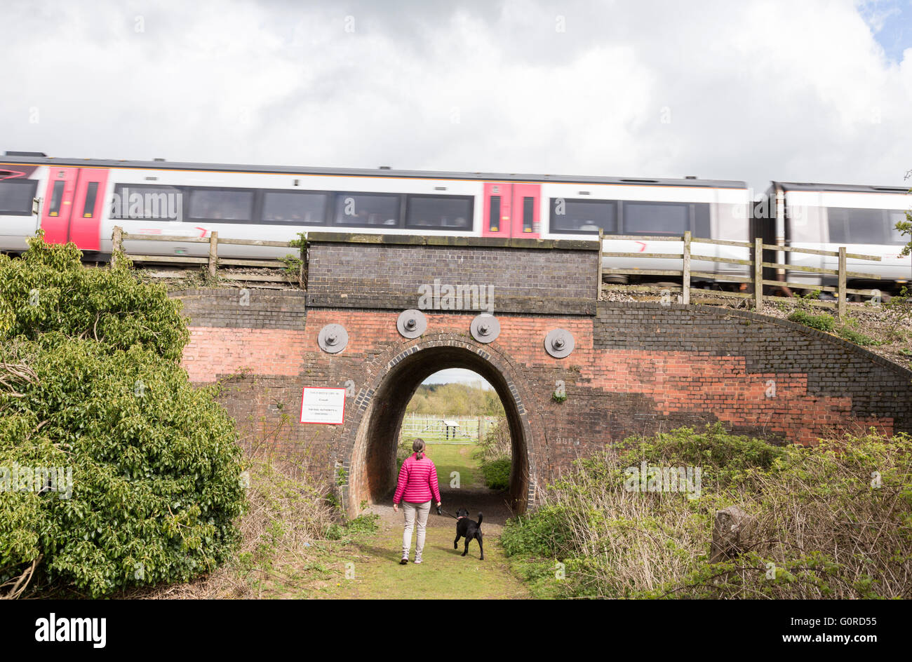East Midlands train crossing access tunnel between Lichfield and Burton upon Trent, Saffordshire, England, UK Stock Photo