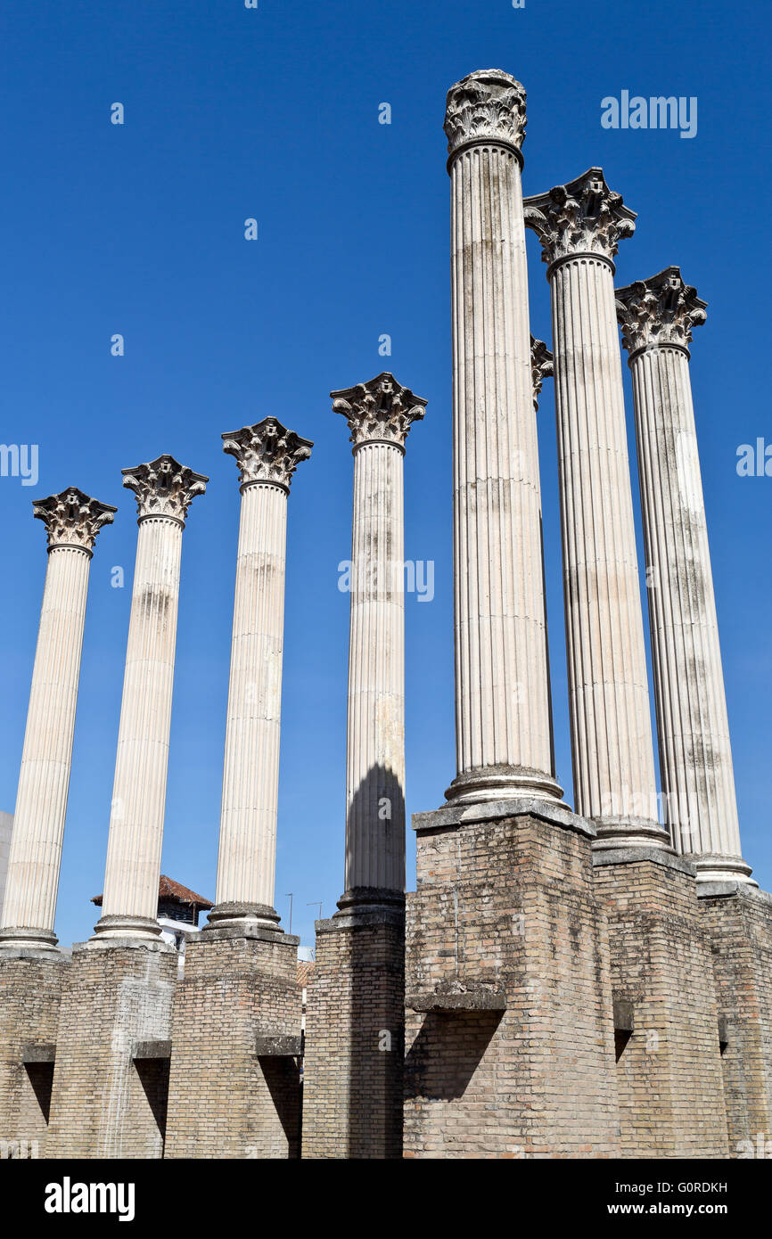 Corinthian order hires stock photography and images Alamy