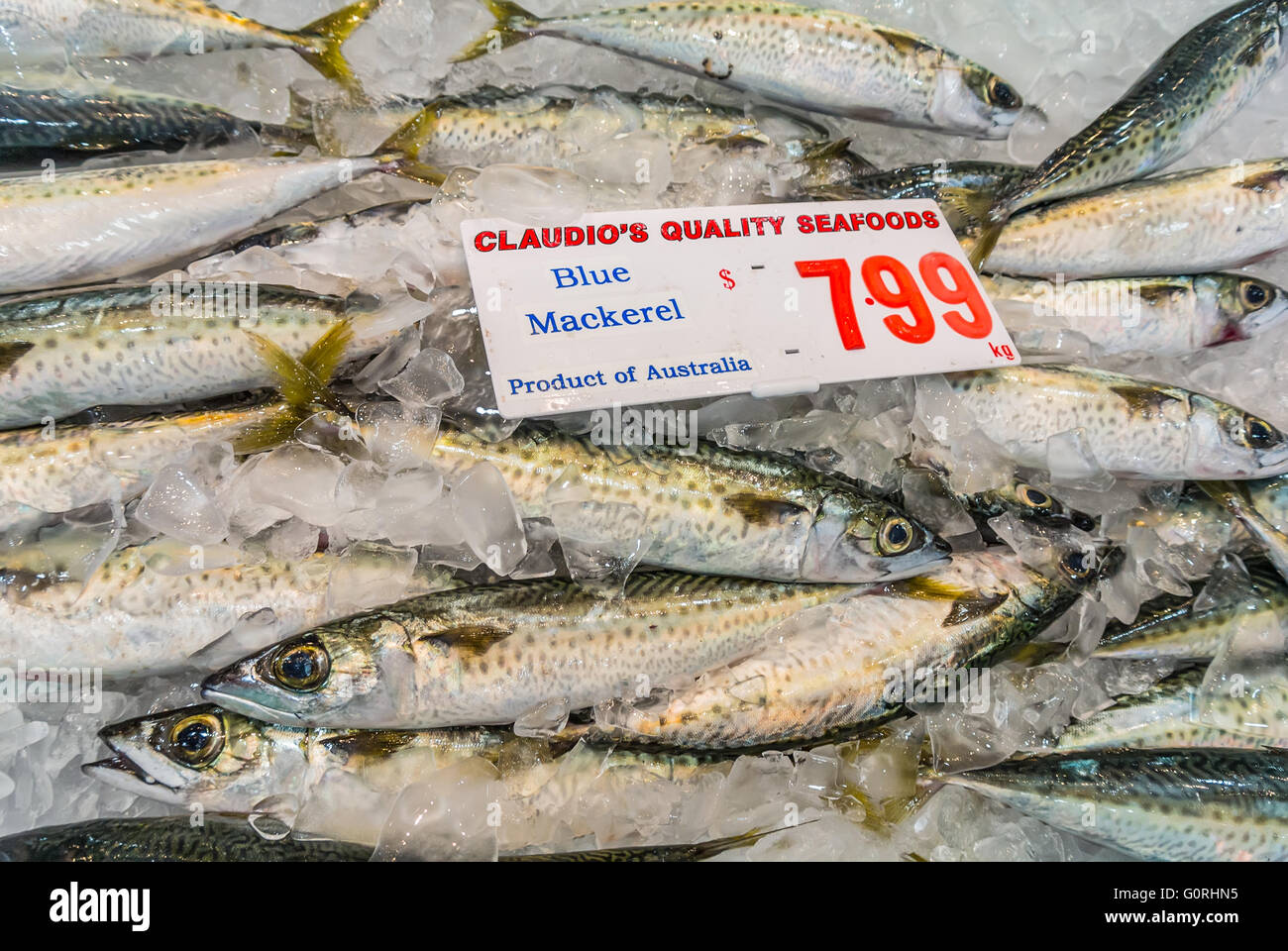 Fresh Blue Mackerel on the Famous Sydney Fish Market, Sydney, New South