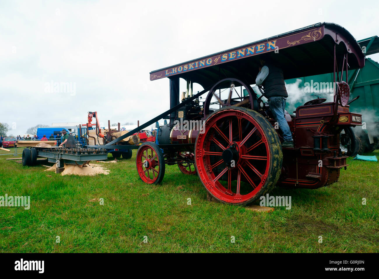 Traction Engine Register STEAM TRACTION ENGINE. ELIZABETH, No 3902, REGISTRATION MA7503 WITH ...