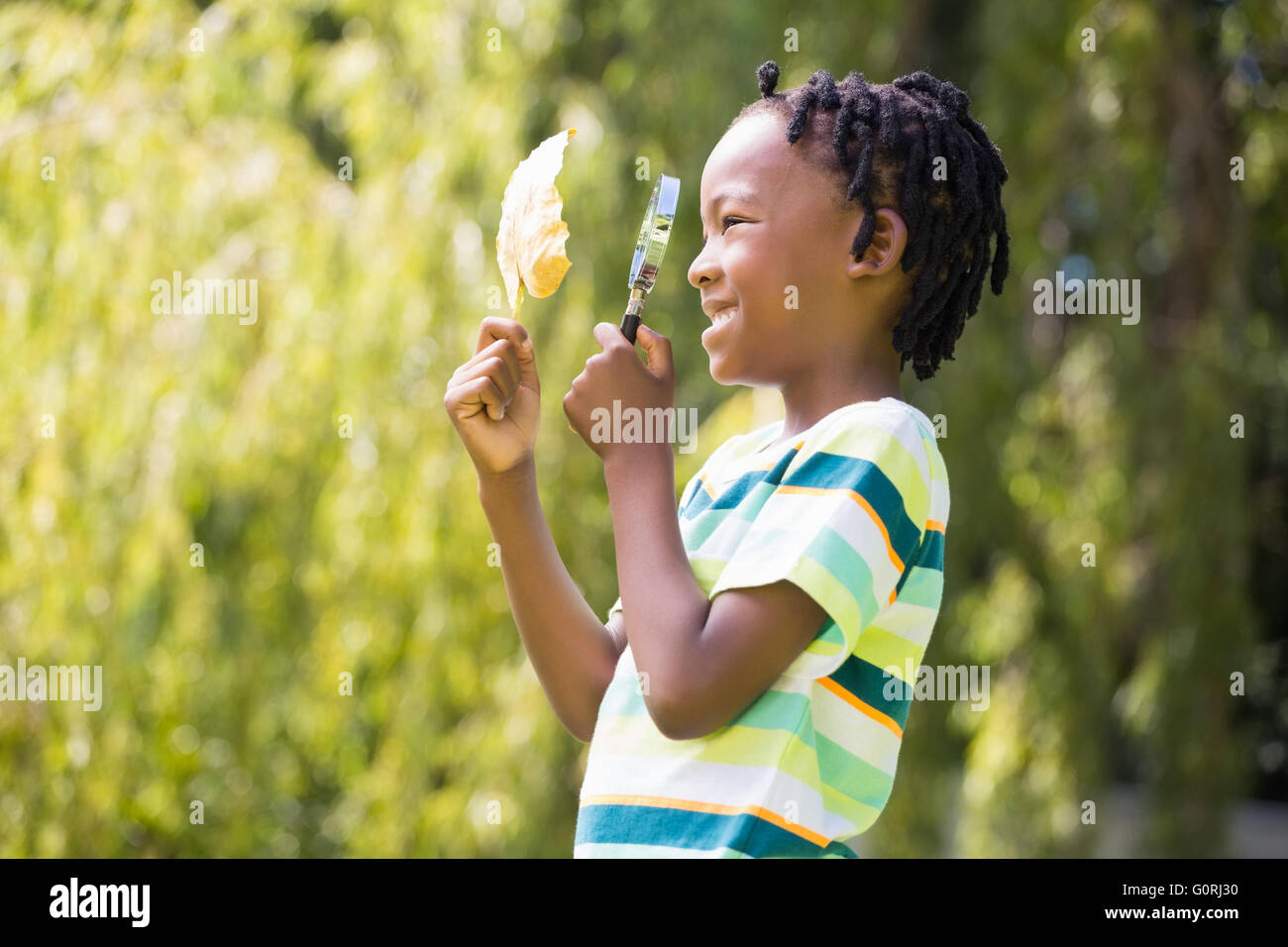 Profile view of boy looking at leaf through magnifying glass Stock Photo