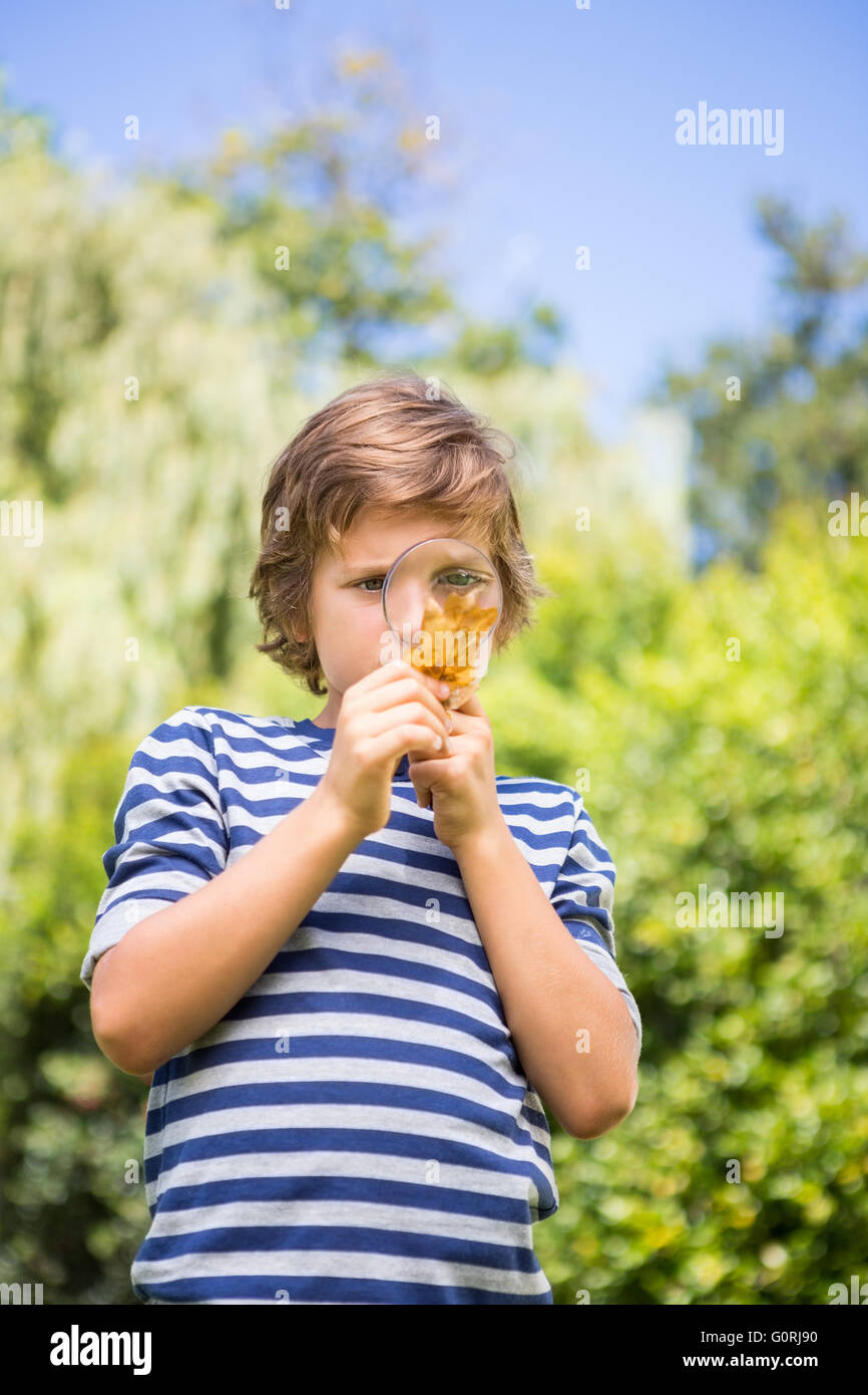 Portrait of cute boy looking a leaf with magnifying glasses Stock Photo