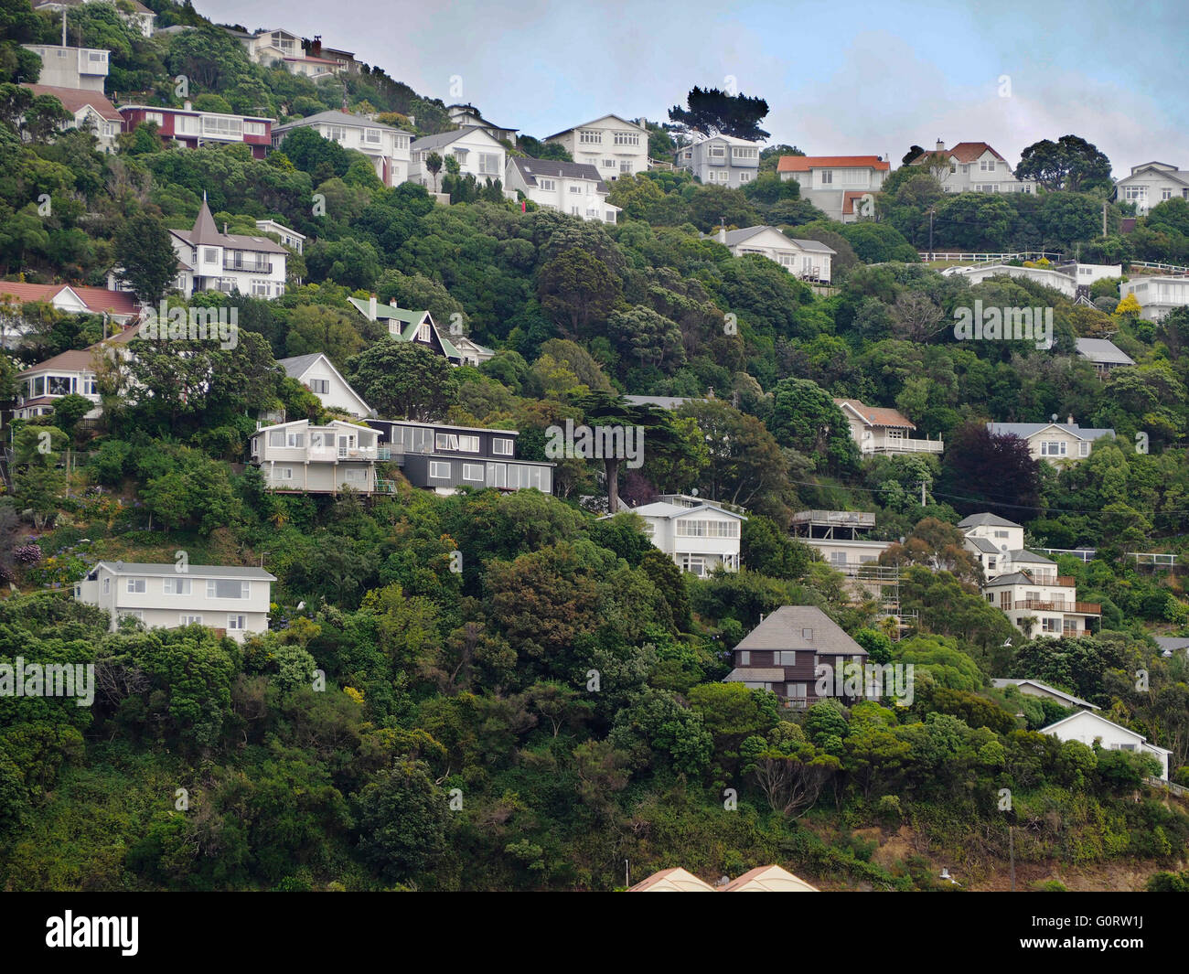 Hillside homes in Wellington, New Zealand Stock Photo Alamy