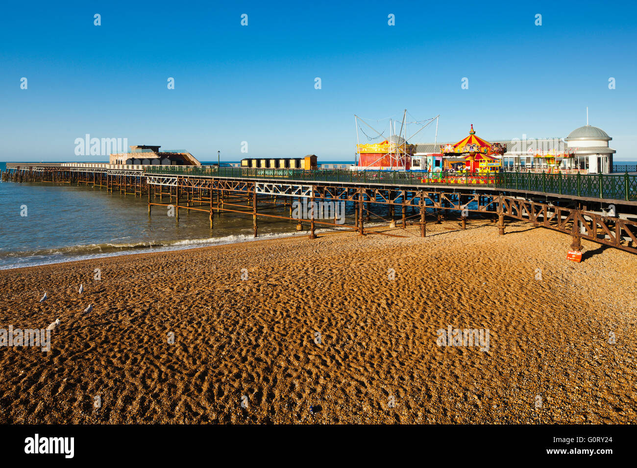 can you take dogs on hastings pier