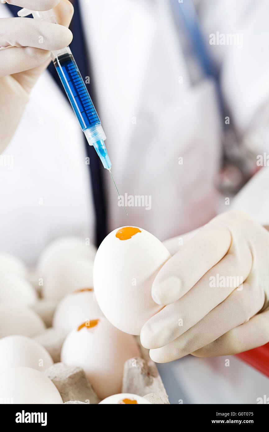 Female researcher/doctor inoculating flu virus into chicken eggs. Stock Photo