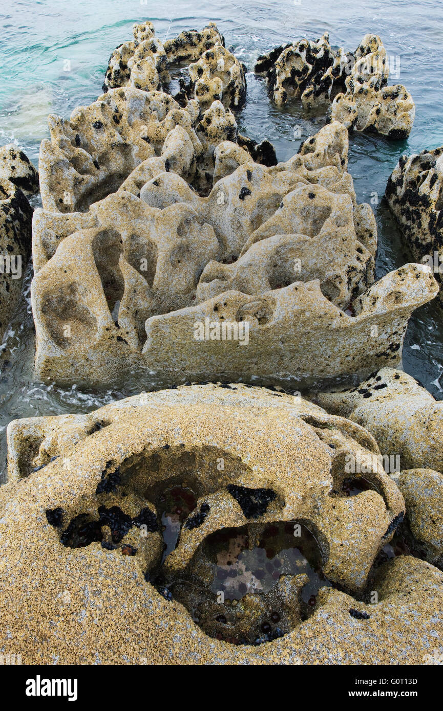 Eroded Limestone along shore, Inisheer Island, Aran Islands, Ireland Stock Photo