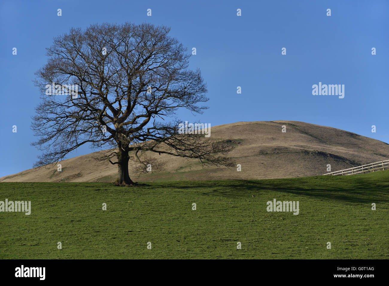 Howgill Fells, Sedbergh, Cumbria, Yorkshire Dales, England, UK. Stock Photo