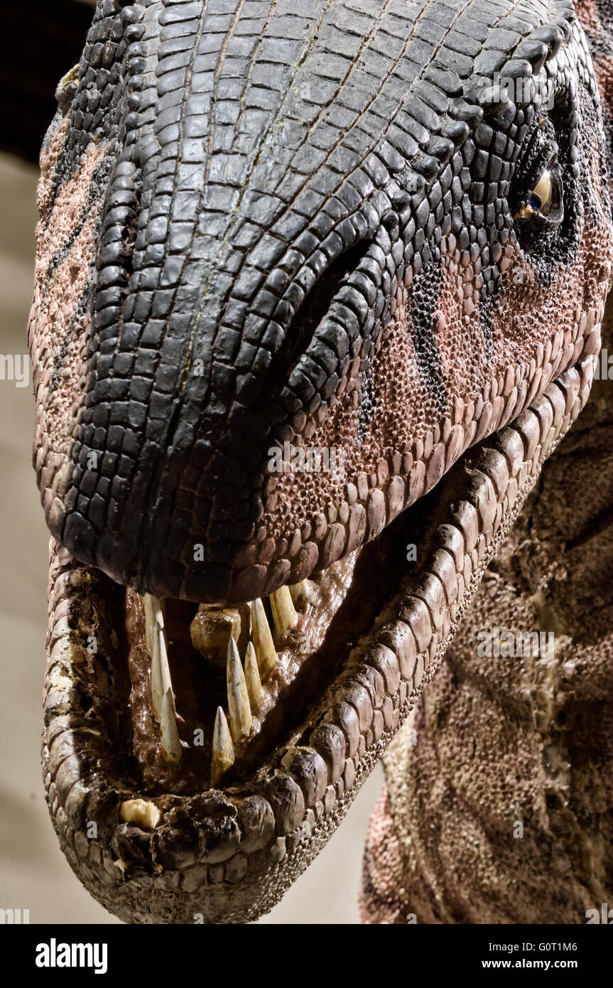 Flesh reconstruction of Jurassic meateating dinosaur Gasosaurus