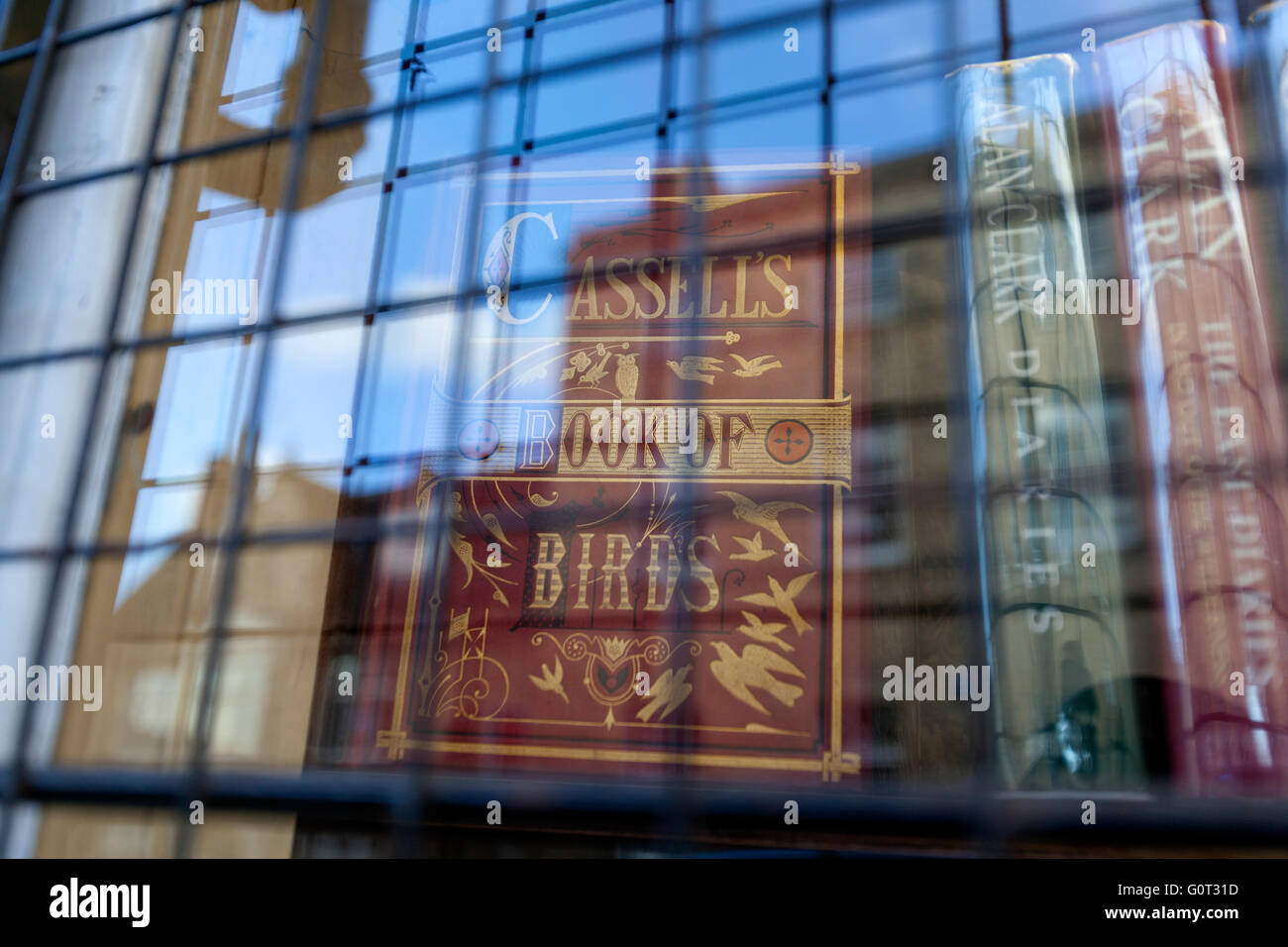 Stamford book shop Cassells Book of Birds, Lincolnshire, England Stock