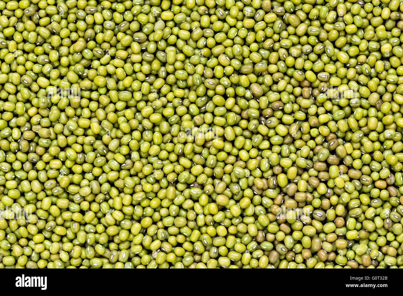 Soja Beans High Resolution Stock Photography And Images Alamy