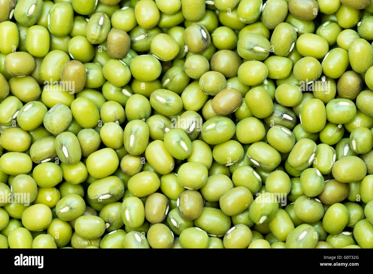 Green beans of soja bio. Backround, macro. Stock Photo