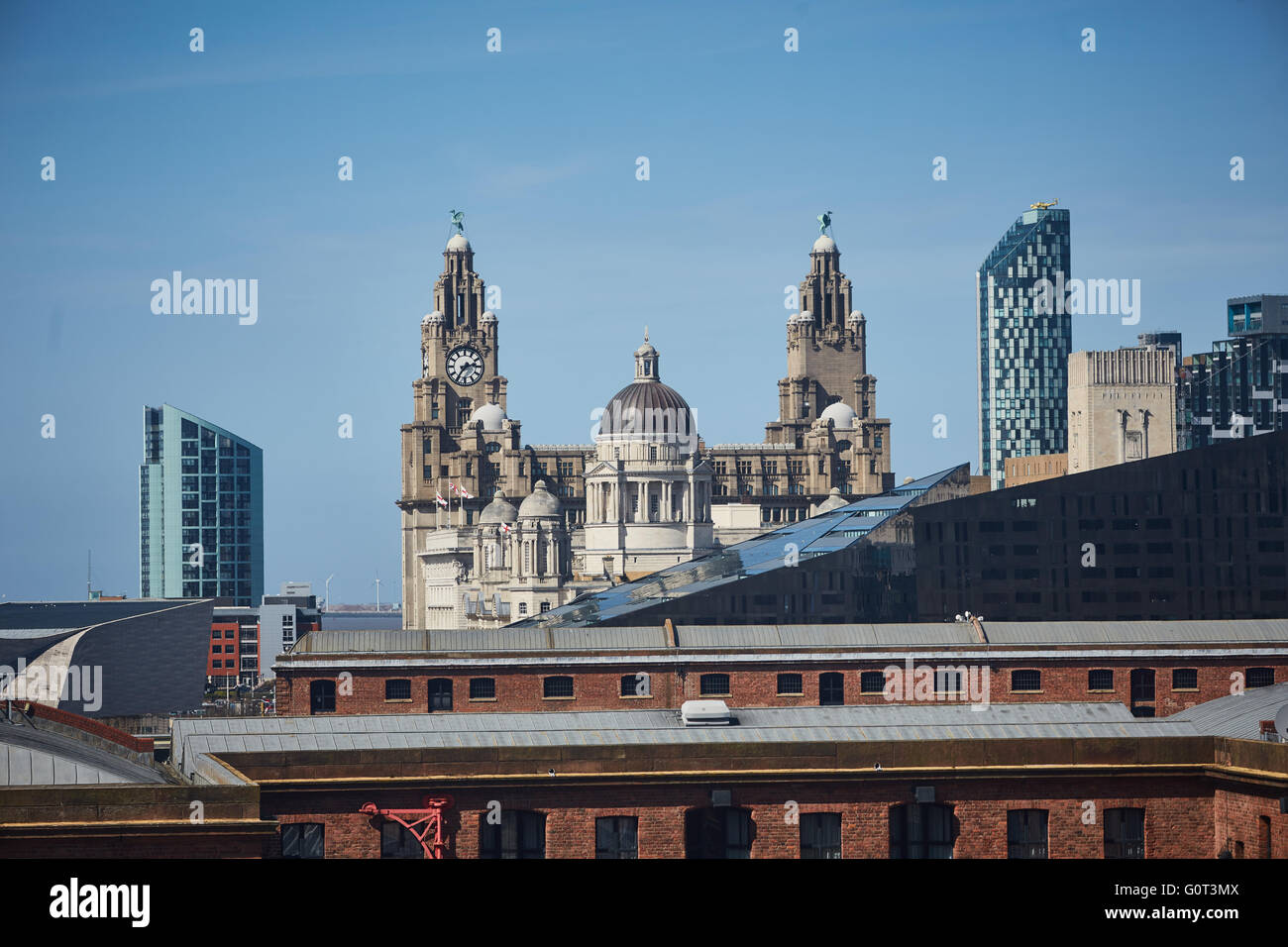Liverpool albert dock buildings liver building    The Royal Liver Building is a Grade I listed building in Liverpool, England. I Stock Photo