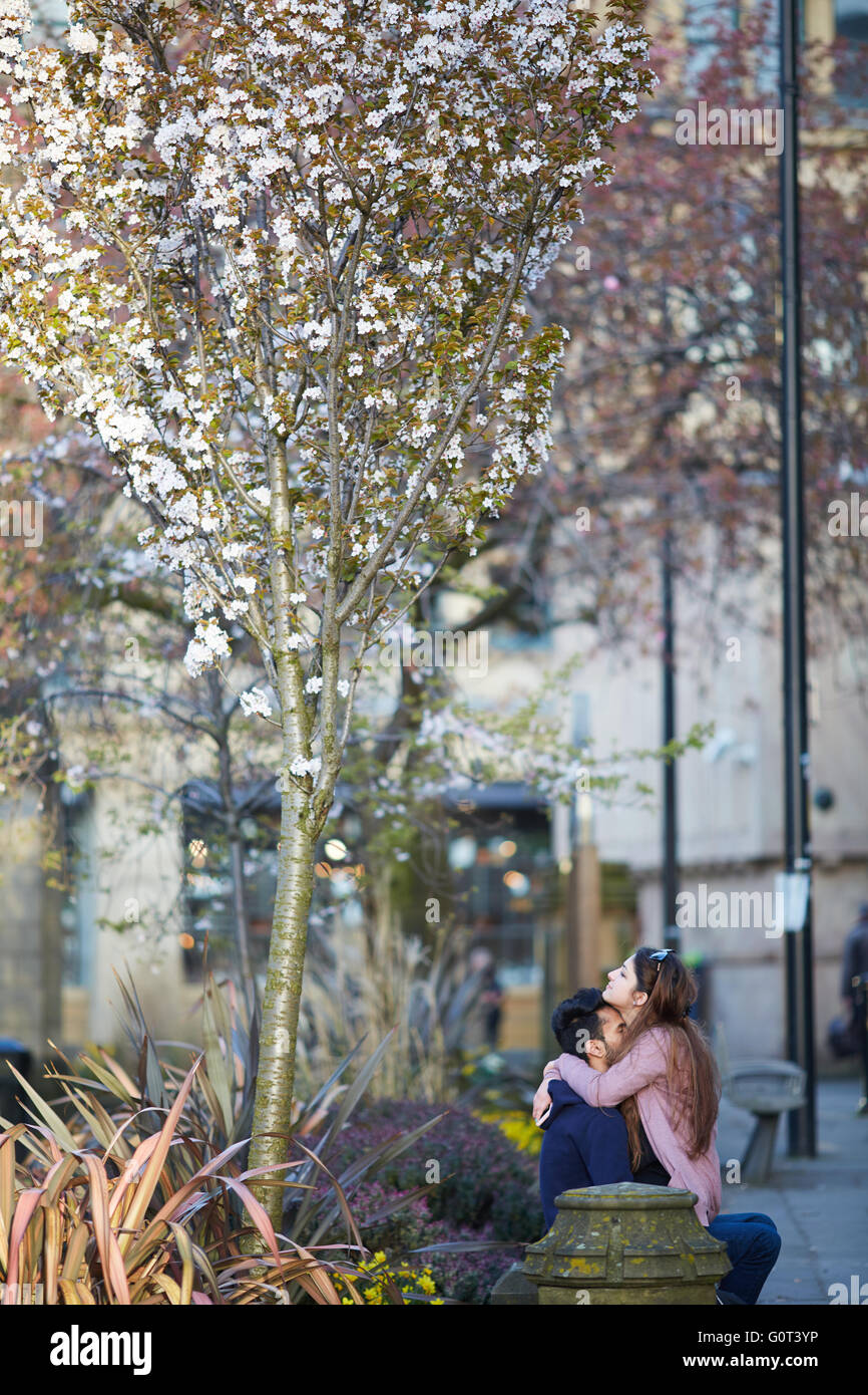 Manchester Printworks building   A young Asian couple coddle near the cathedral, blossom trees cheery Asian people Asiatic India Stock Photo