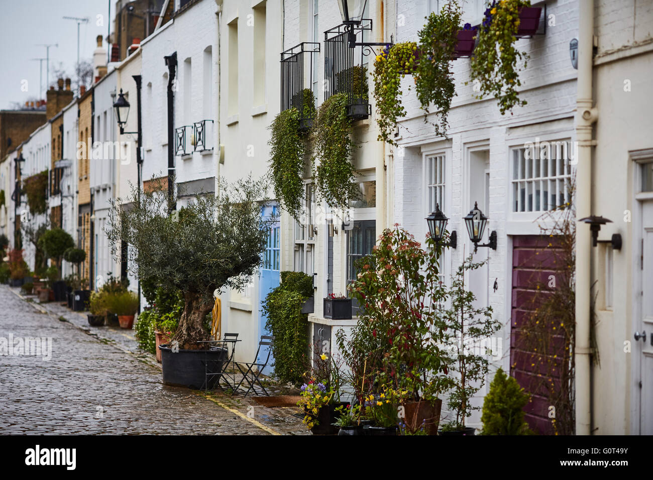 Hyde Park Gardens Mews spacious mews house superb location very close to Hyde  Park city of westminster London UK Bayswater Cons Stock Photo - Alamy