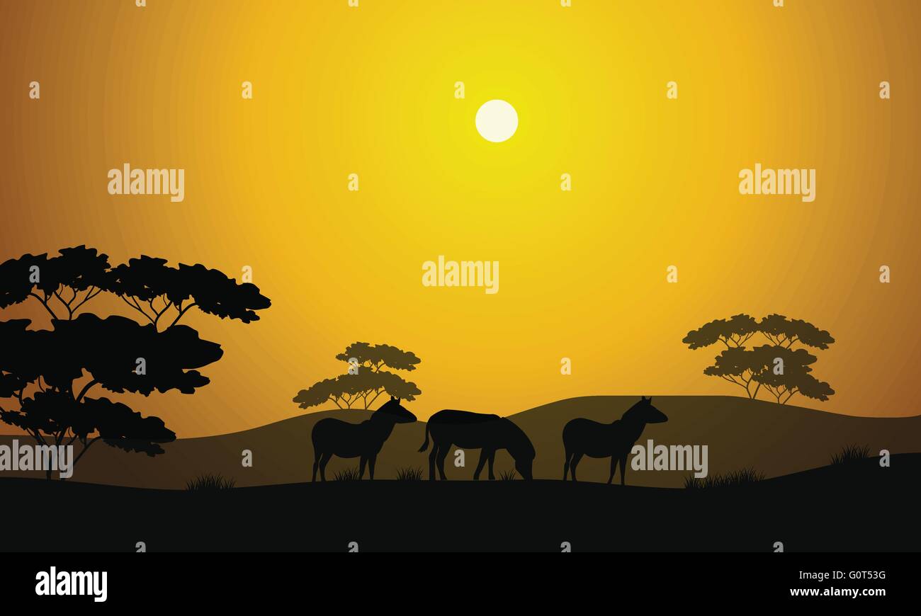 Beautiful zebra silhouette scenery Stock Vector Image & Art - Alamy