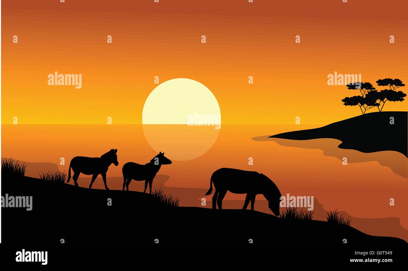 Zebra silhouette in riverbank Stock Vector Image & Art - Alamy