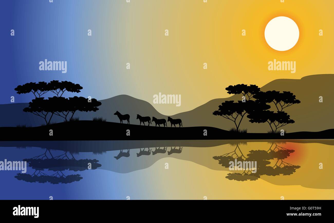 Beautiful silhouette of zebra in riverbank Stock Vector Image & Art - Alamy