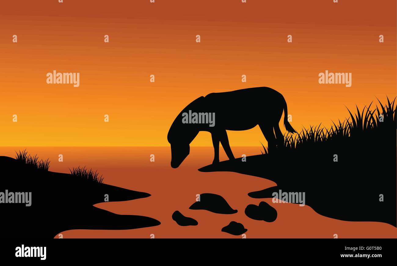 Silhouette of one zebra in riverbank Stock Vector Image & Art - Alamy
