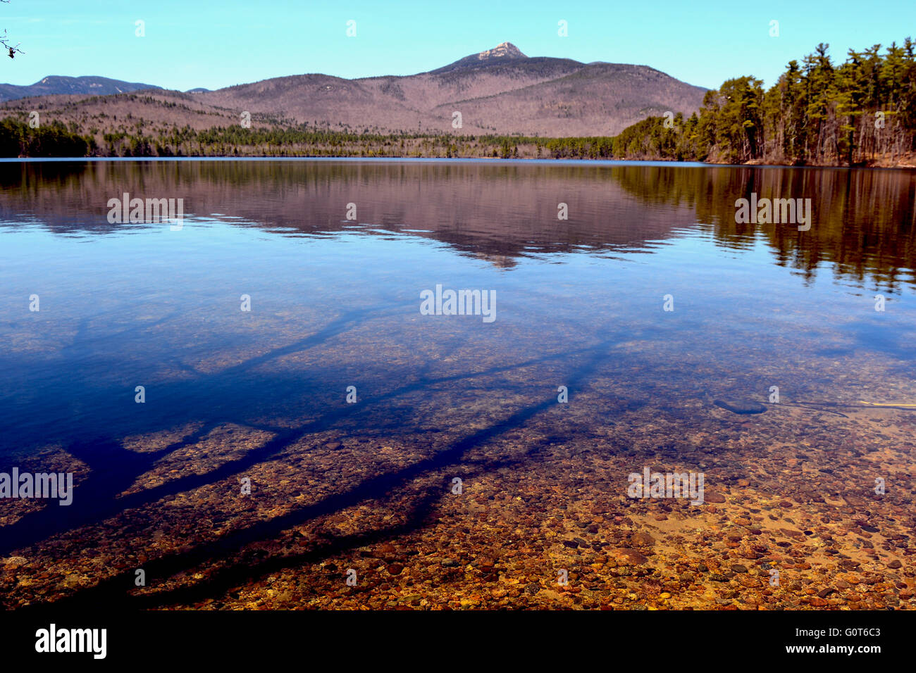 Forest Lake and Mountains landscape Stock Photo - Alamy