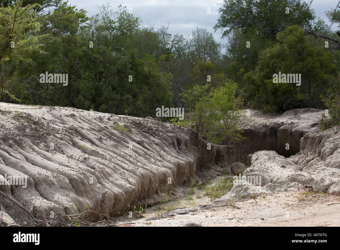 Severe soil erosion donga in sodic soil Stock Photo