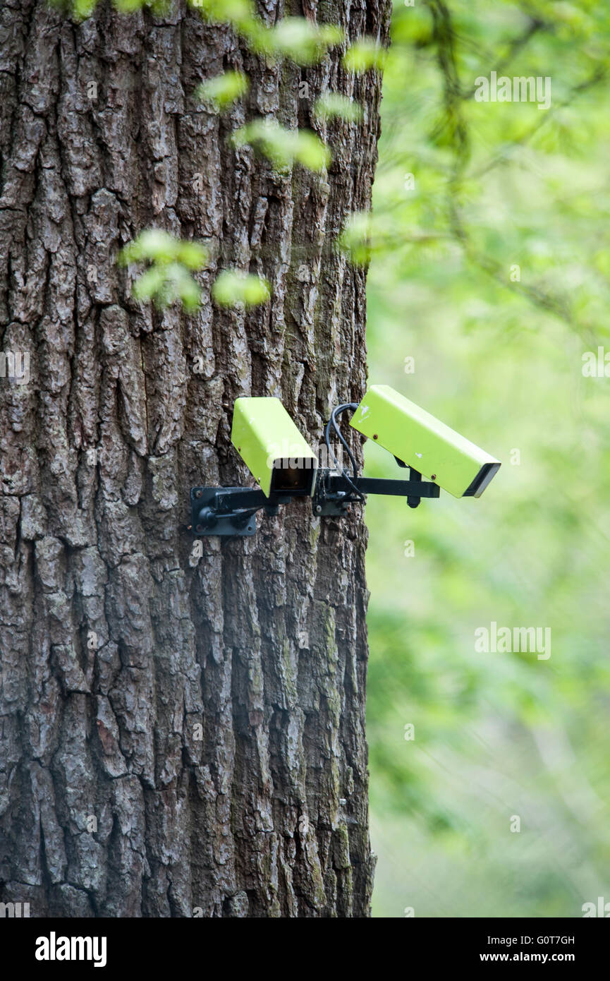 Green security camera's looking over the deer enclosure Stock Photo