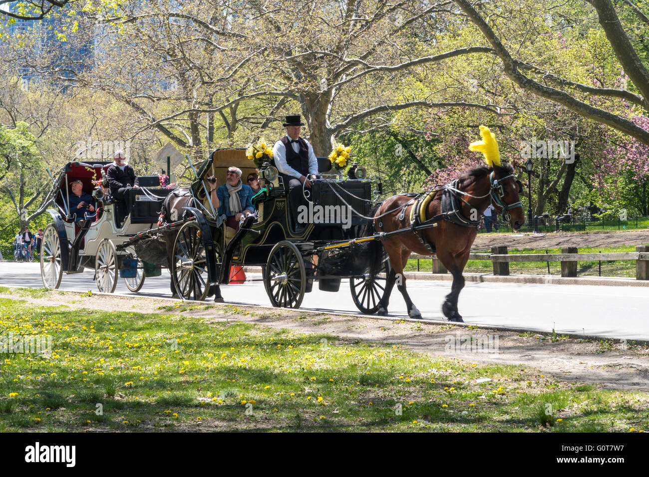 Nyc horse carriages hi-res stock photography and images - Alamy