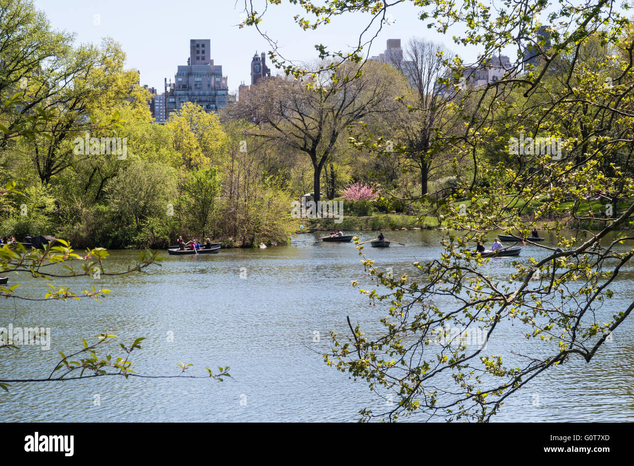 Rowboats on The Lake, Central Park, NYC Stock Photo Alamy