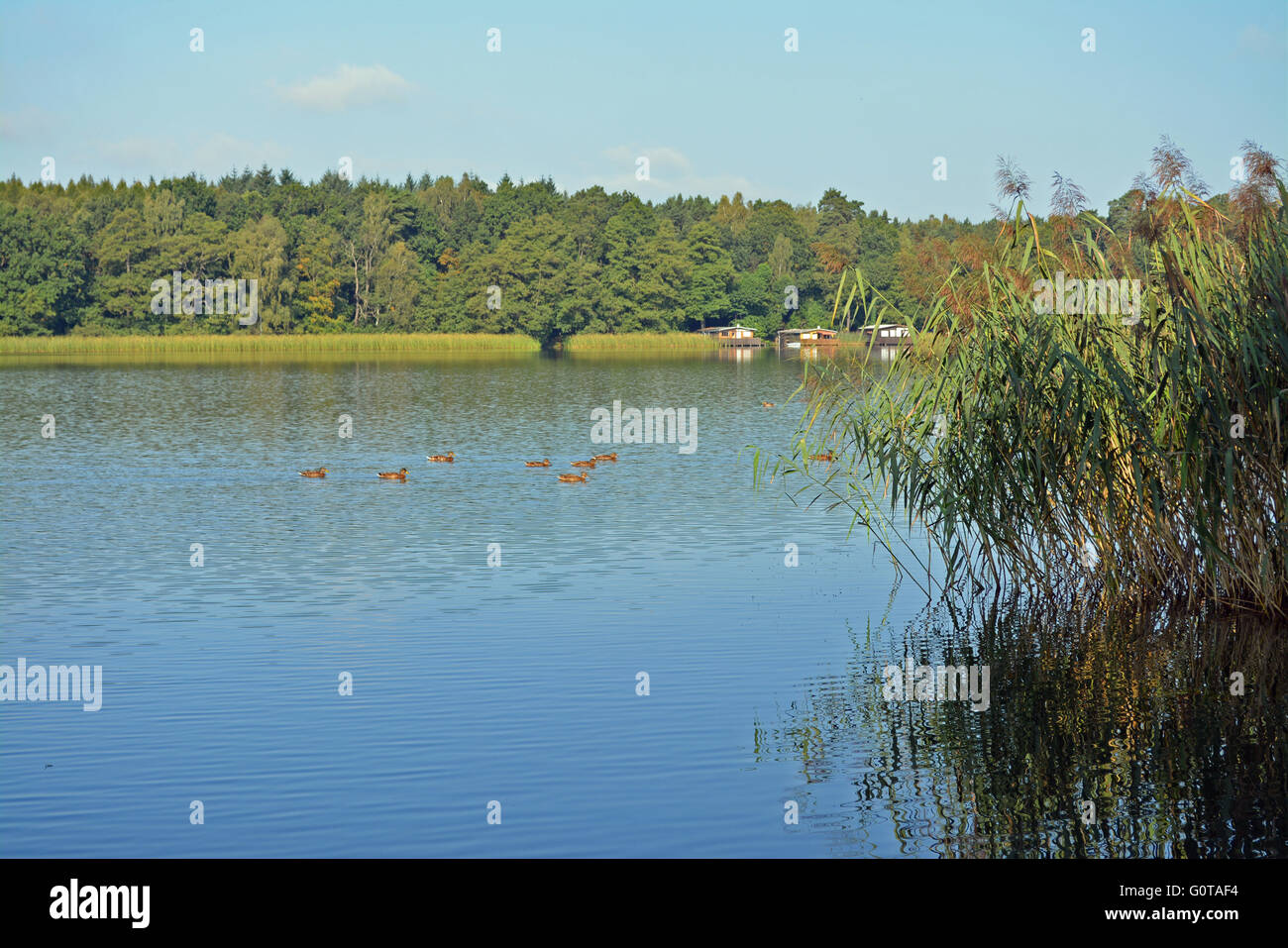 Lake in Germany, similar to the Masuria sees in Poland, formals German East Prussia Stock Photo