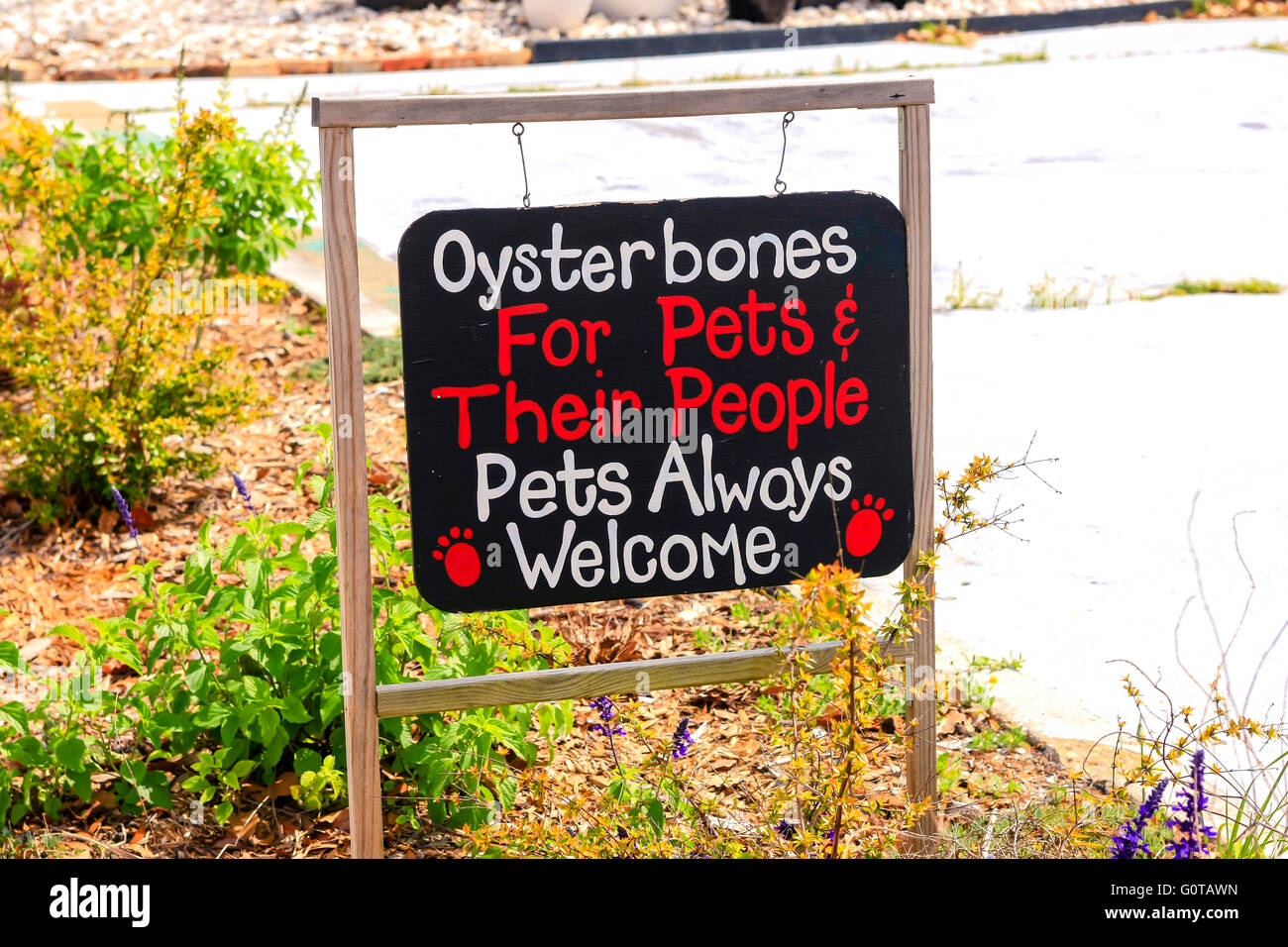 panhandle pet supply