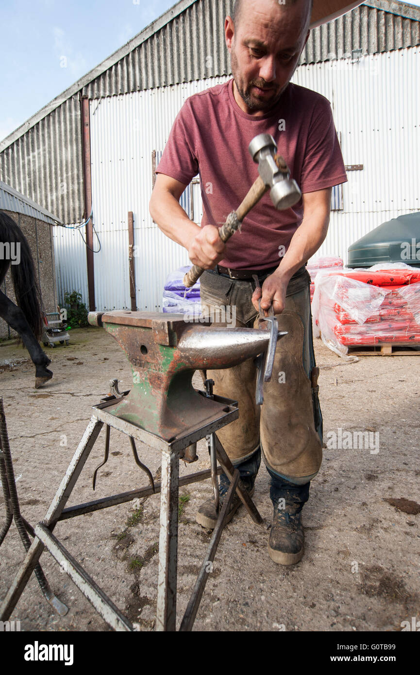 Farrier Hot Shoeing a Horse in a stable yard Stock Photo Alamy