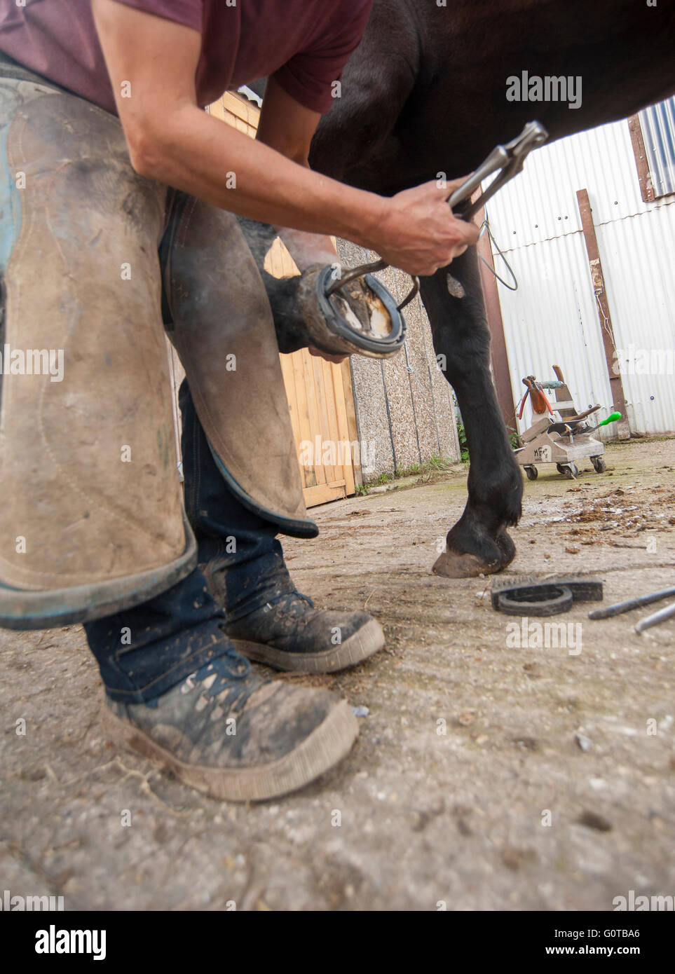 Farrier Shoeing Horse Uk High Resolution Stock Photography and Images