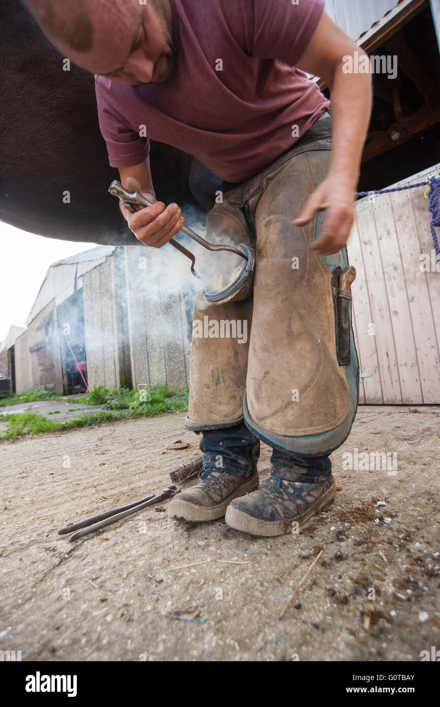 Farrier Hot Shoeing a Horse in a stable yard Stock Photo Alamy