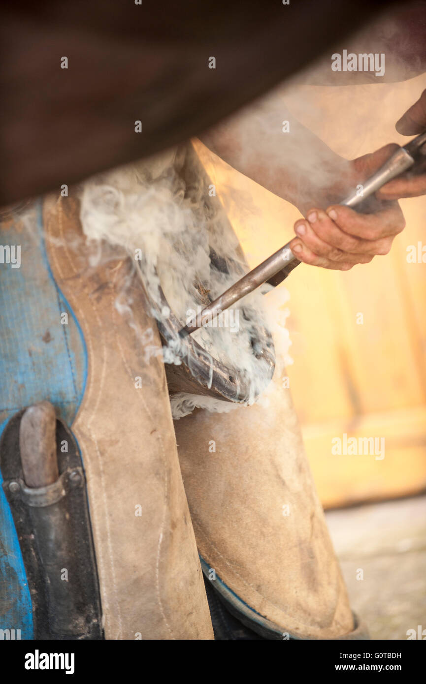 Farrier Hot Shoeing a Horse in a stable yard Stock Photo Alamy