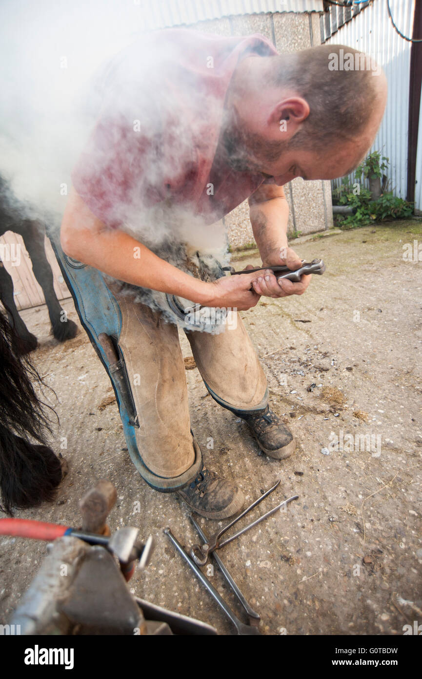 Farrier Hot Shoeing a Horse in a stable yard Stock Photo Alamy