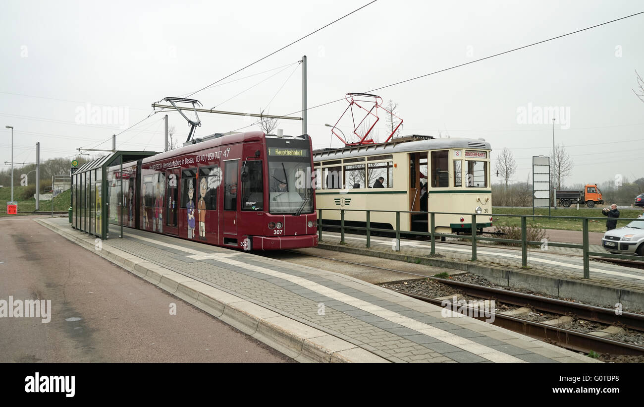 Dessau Flexity Classic Tram at Junkerspark Terminus with Vintage Tramcar -1 Stock Photo