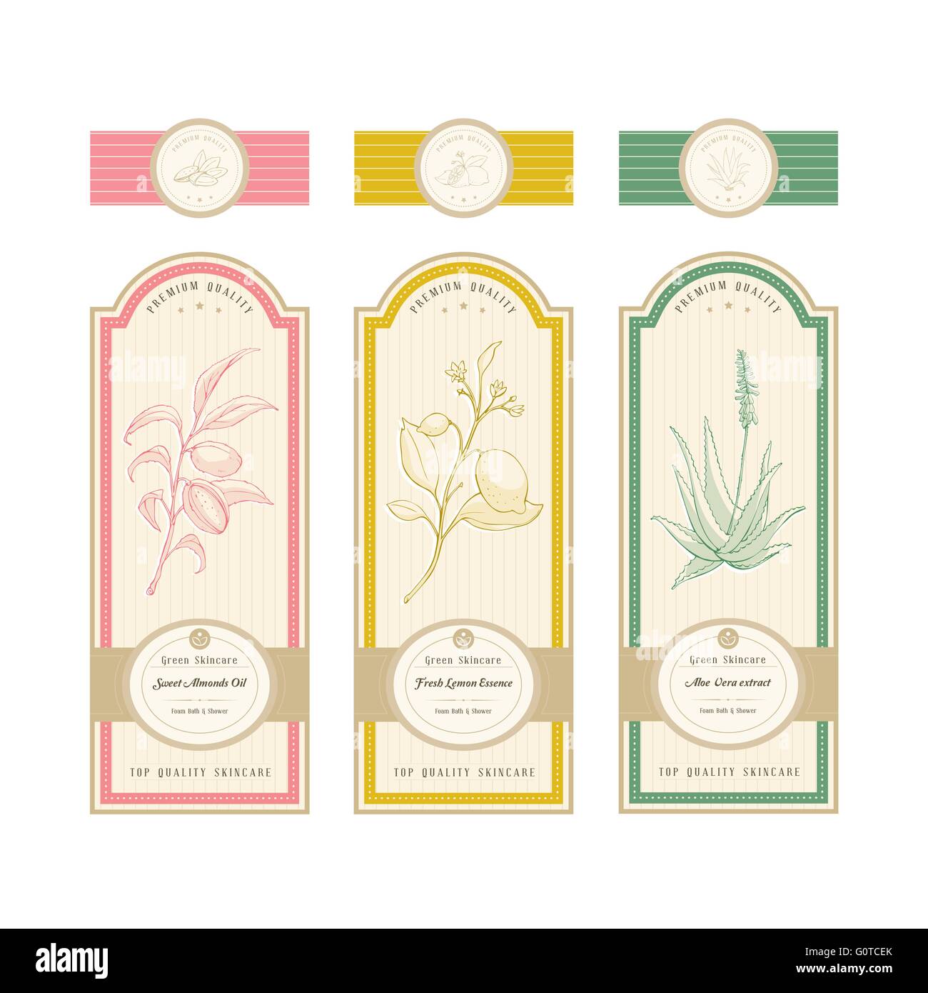 Natural product label with plant: almond, lemon and aloe vera Stock Vector