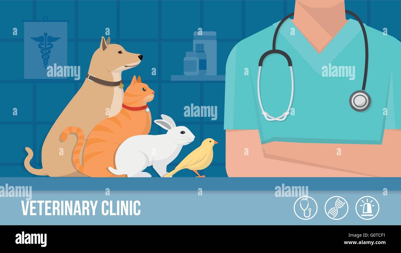 Veterinary clinic banner with dog, cat, rabbit, bird and vet arms crossed, laboratory on background Stock Vector