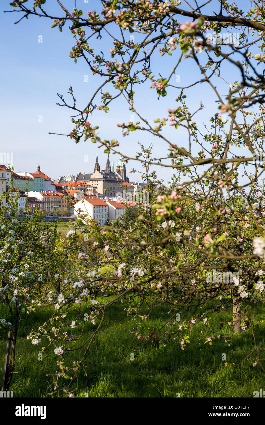 Spring view of the Prague Castle from the Petrin Hill, Prague, Czech Republic Stock Photo